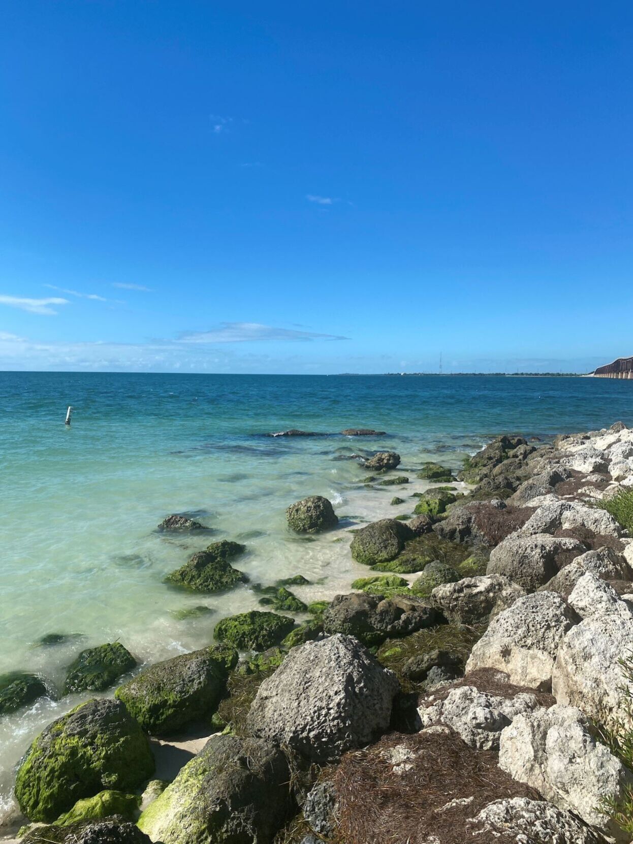 Beach Escapes